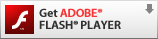 Adobe Flash Playerダウンロードはこちら